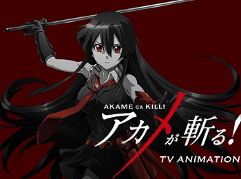 Akame Ga Kill Characters
