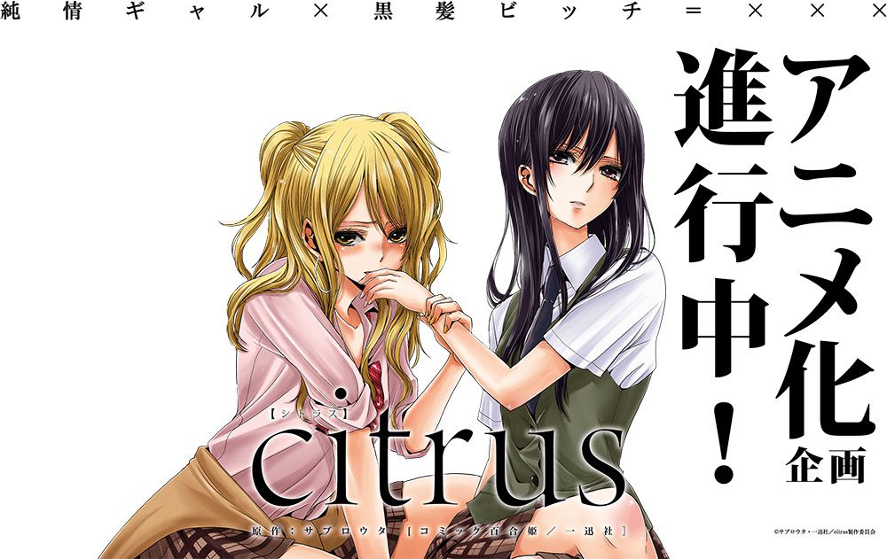 New Citrus Anime Visual Revealed - Otaku Tale